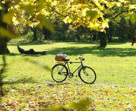 那么多成功勉励富二代，你假装眼瞎看不见